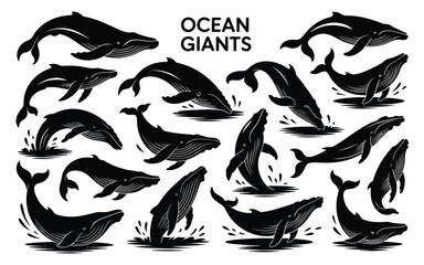 Vector art of collection of ocean giant whale illustrations, depicting marine mammals, aquatic wildlife, and sea creatures