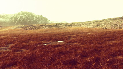 Obraz premium Majestic mountain range in Peru covered in glistening snow and adorned with patches of vivid green grass.