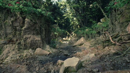 A dirt road winds through a green forest, flanked by trees and rocks. The natural surroundings create a rugged and rustic landscape.