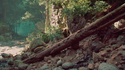 A dense forest filled with a variety of rocks and trees, showcasing the natural abundance of plant life and rocky terrain.