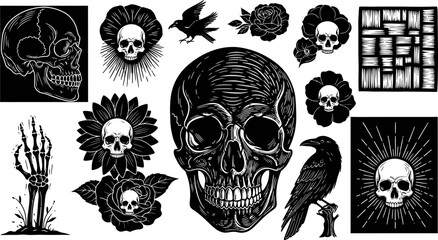 Fototapeta premium Black and White Skull and Raven Illustration Set