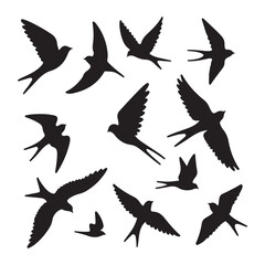 Fototapeta premium Flock of birds in flight silhouette
