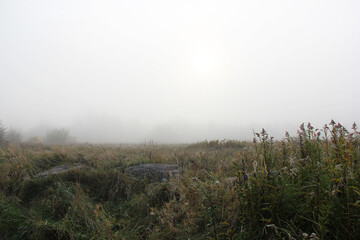 Obraz premium Misty autumn meadow with tall grass and rising sun in dense morning fog landscape