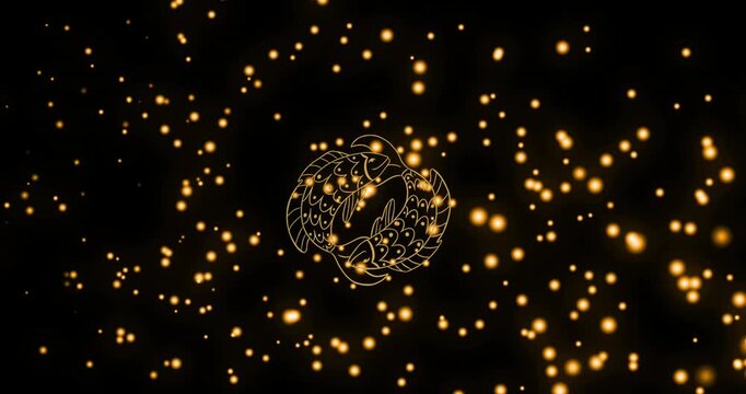 Animation of twin fish of pisces zodiac sign against illuminated moving lens flares