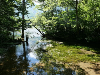 Obraz premium Serene Forest Reflection in a Tranquil River