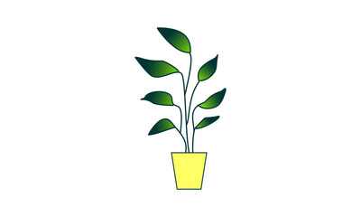 Home decorative plant design vector