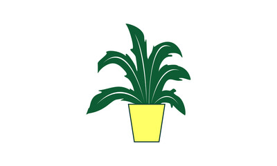 Indoor decorative plant design vector