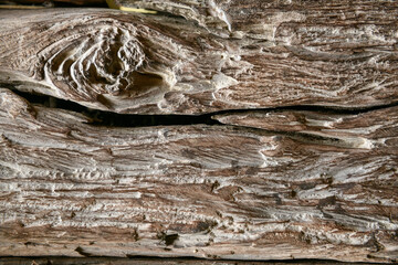 Texture antique oak furniture, with its rustic grain and retro design, showcases a natural wooden surface