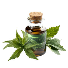 CBD Oil Bottle Cannabis Leaves Natural Remedy png