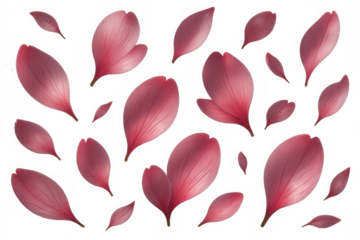 Soft pink petals cascading delicately, floating on transparent surface, embodying gentle romance and minimalist design elegance