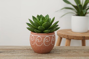 Obraz premium Decorative container holding a succulent plant