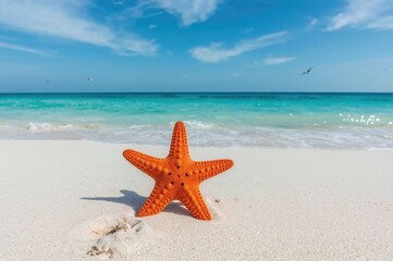 Colorful marine life and seaside enjoyment with starfish