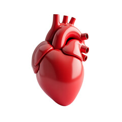 Realistic red human heart anatomical model isolated on transparent background