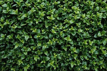 Decorative vertical greenery featuring synthetic plants and flowers for a natural backdrop