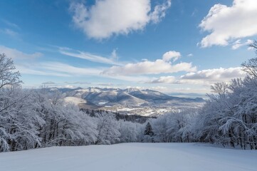 Obraz premium A snowy winter scene in a mountainous region