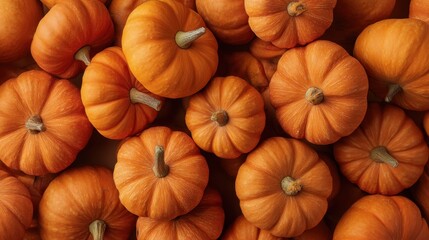 Orange pumpkin flat lay background. Harvest season concept. Holiday decoration for autumn Thanksgiving and Halloween.