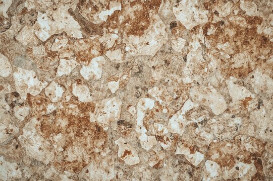 Texture of sedimentary rock from the sea, applied in construction finishing. Wall surface with shelly stones and bricks.