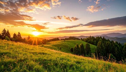 Obraz premium sunset landscape with grassy hill, evergreen forest, and distant mountains under pastel sky