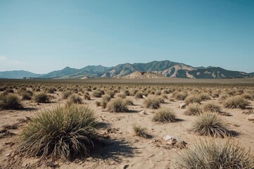 Desert Terrain in a Volcanic Island Setting