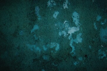 Obraz premium Ancient walls covered in moss with deep teal hues evoke a sense of tranquility and enigma, perfect for themes of natural beauty and city deterioration.