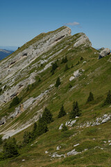Green alpine slopes and rocky ridges in Vercors Massif French Alps