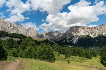 Obraz premium Beautiful Mountain Landscape with Green Meadows and Forest