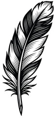 Obraz premium Feather: A detailed line art illustration of a single feather, highlighting its intricate texture and classic, elegant form.
