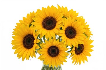 Naklejka premium Bright Yellow Sunflowers Against a Plain White Backdrop
