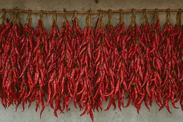 Strings of dried red chili peppers hanging on a rural home wall