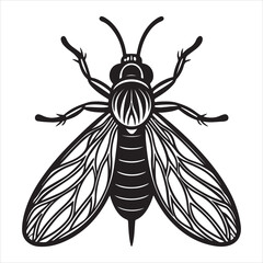 A Close-up Macro of a Whitefly, a Tiny Plant Pest with Powdery White Wings Clinging to the Underside of a Green Leaf