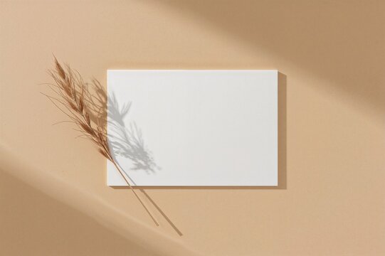 Blank white invitation card with dried grass decoration on a beige surface. 5x7 aspect ratio, comparable to A6 and A5 sizes.