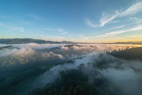 Dense white mist envelops the valley at a forest park