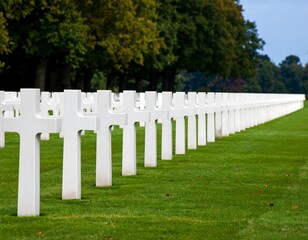 Naklejka premium Rows of white crosses in a cemetery