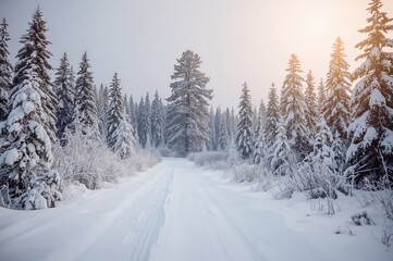 Obraz premium Winter Trails Covered in Snow