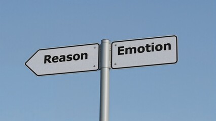 Fototapeta premium Sign indicating a decision between rational thought and emotional intuition