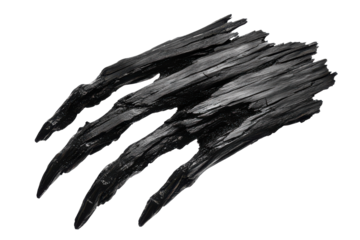 Jagged black wood claws isolated on transparent background. Claw mark dark black wooden isolated on white background.
