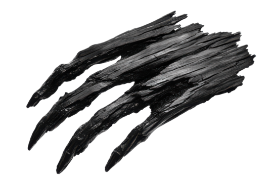Jagged black wood claws isolated on transparent background. Claw mark dark black wooden isolated on white background.
