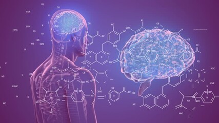 Animation of chemical structures over spinning human body and brain model against purple background - Powered by Adobe