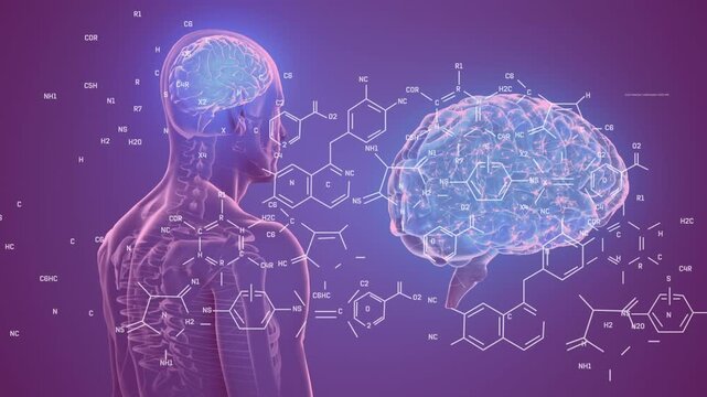 Animation of chemical structures over spinning human body and brain model against purple background