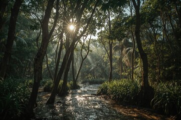 Sunlit tropical woodland with rain showers