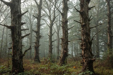 Naklejka premium Forest trees harmed and dying due to trunk rot disease.