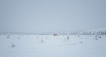 Serene winter landscape with a solitary cabin nestled amongst snow-covered trees under a soft sky