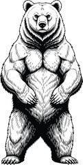 Bear: A highly detailed line art illustration of a powerful bear standing on its hind legs, in an aggressive and dynamic pose.