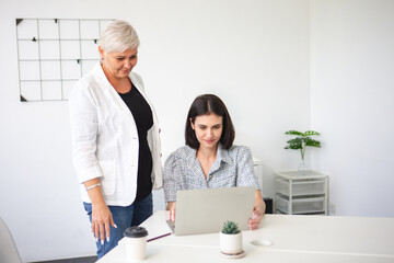Senior business women mentoring younger colleague with laptop in modern office, teamwork and professional collaboration concept for learning and corporate success.