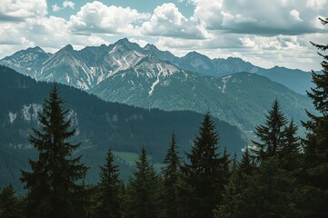 Forests Among Mountain Peaks