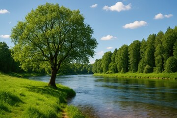 Vegetation rooted in flowing water