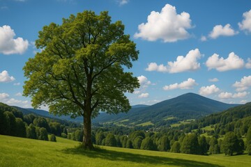 Alpine scenery showcasing a tree under the sky with the Jeseniky mountains near a village in Europe