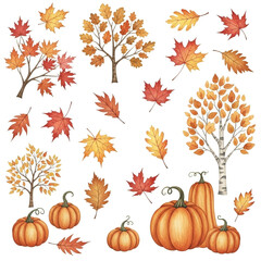 Isolated flat lay of autumn leaves and pumpkins on a white background with copy space; ideal for seasonal harvest, Halloween, and Thanksgiving designs