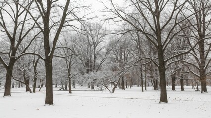 Snow-covered trees in a winter park setting, natural landscape with autumn leaves and forest background