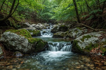 Obraz premium A tranquil woodland brook flows over stones blanketed in moss, encircled by dense, drooping foliage. The calm current and verdant overhead leaves offer a serene, pristine retreat within nature's